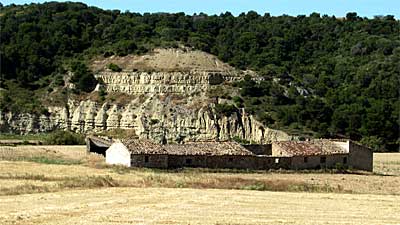 bosque