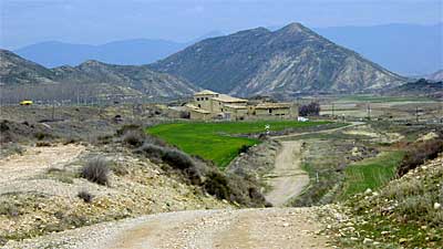 Pardina en TuruÃ±ana