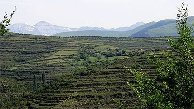 Montes de Cortillas y Cillas