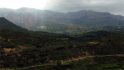 Carrasca milenaria de AgÃ¼ero