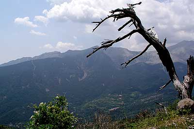 Collado de la Cruz